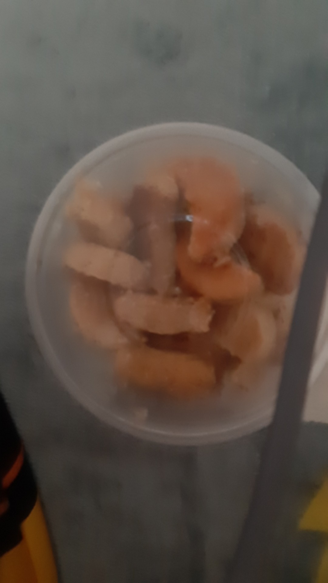 Nagada Baskom Ember Lipat Portable 5 L / Rumah Tangga Kebersihan Aaa