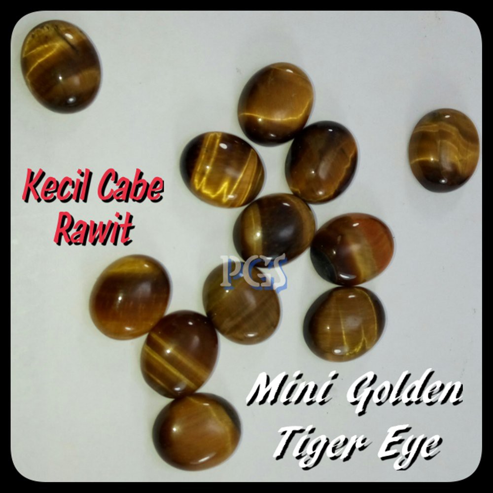 GOLDEN TIGER EYE'S KECIL KECIL CABE RAWIT