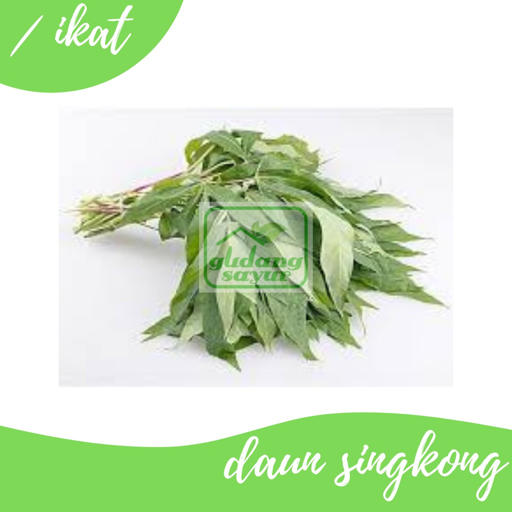 

Daun Singkong 500g Gudang Sayur Purwokerto