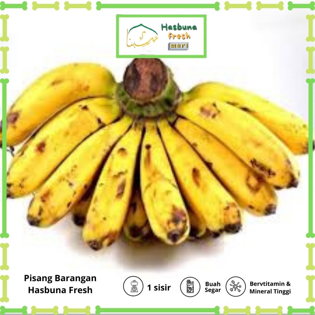 

Pisang Barangan 1 sisir Hasbuna fresh mart Premium | Bergaransi