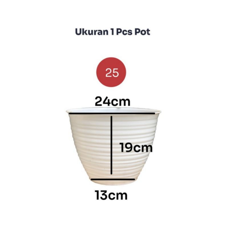 12 PCS POT BUNGA TAWON 25CM Tanaman Pirus Guci Madu