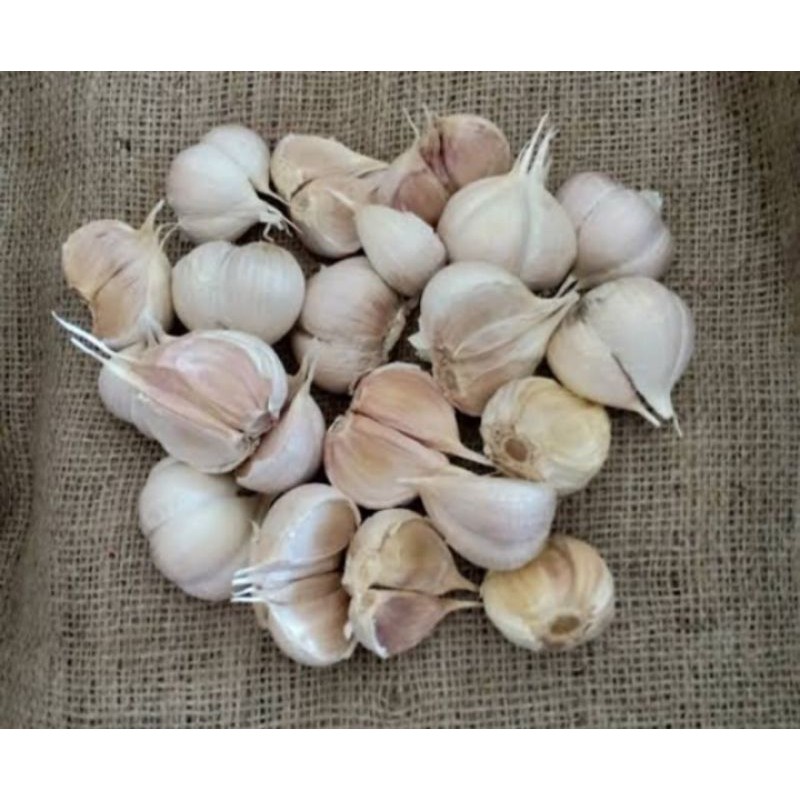 

BAWANG KATING