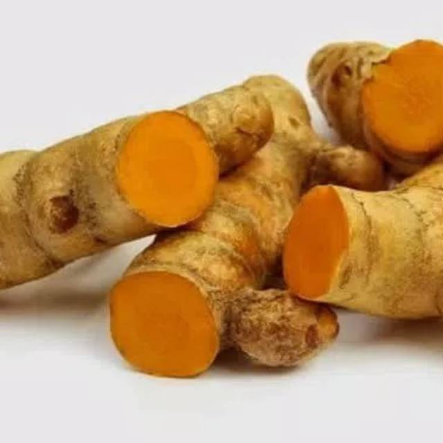 

BIBIT TEMULAWAK HERBAL
