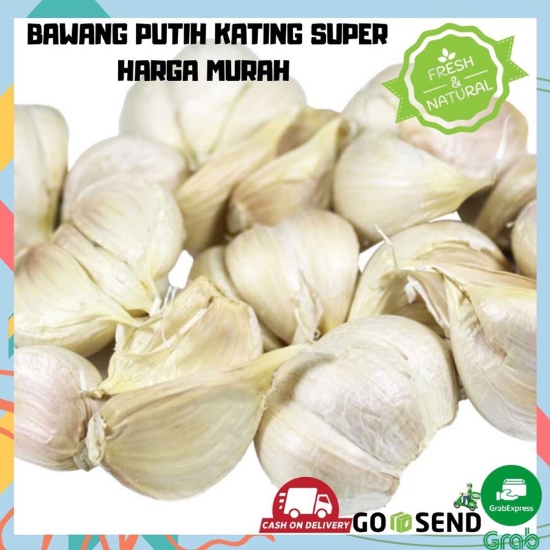 Bawang Putih Kating