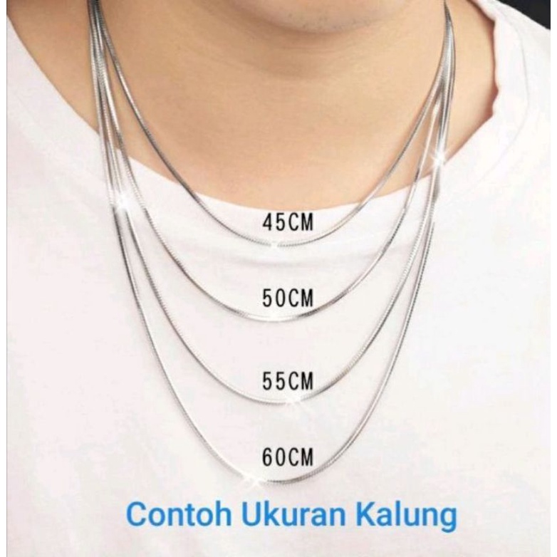 kalung titanium