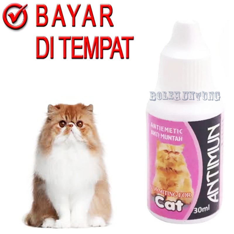 ANTIMUN CAT OBAT MUNTAH KUCING SAKIT PENCERNAAN KITTEN