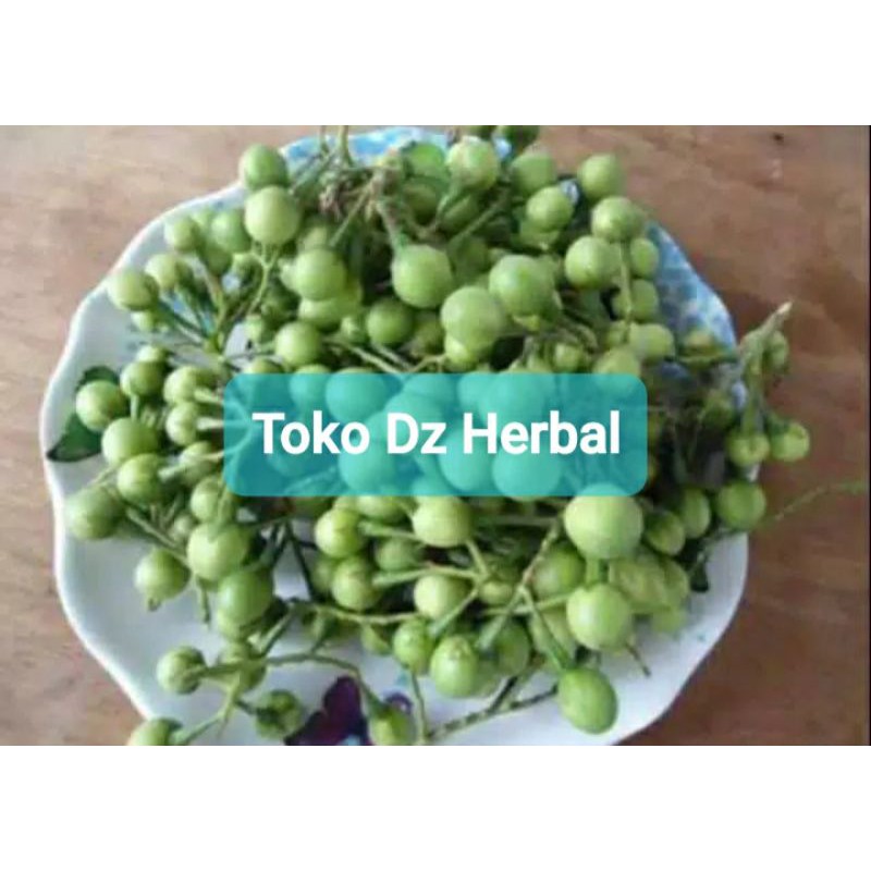 

Jual buah takokak cepokak segar fresh petik langsung 500 gram-az