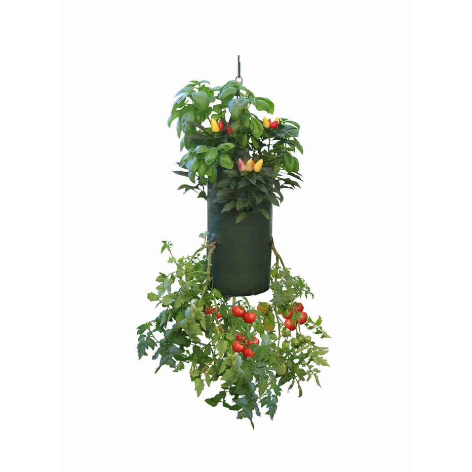 Veggie Bag Pot strawberry 7 Slits Lubang PLANTER BAG Veggie Bag Pot strawberry 7 Slits Lubang PLANTER BAG