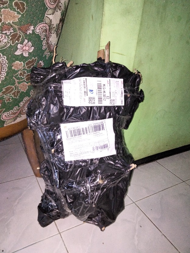 Akar Senggani Beserta Batangnya Dijual Per 100 Gram