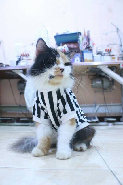 Kaos strip hitam putih lucu untuk kucing dan anjing / baju kucing murah size S M L XL