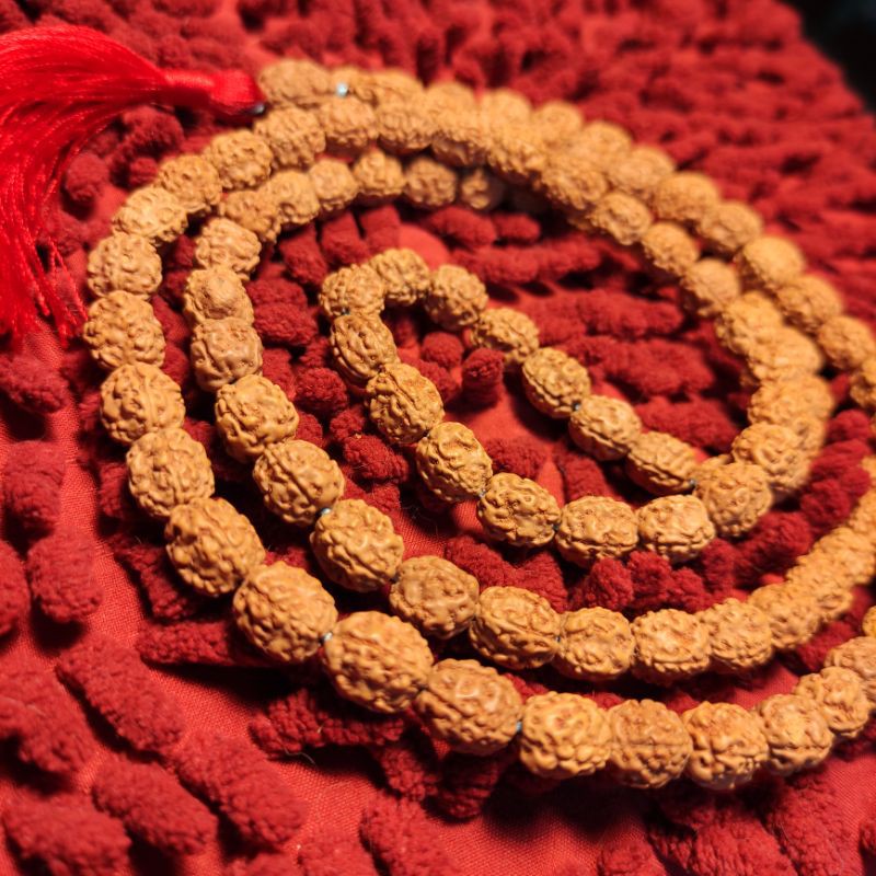 jenitri rudraksha mukhi 4