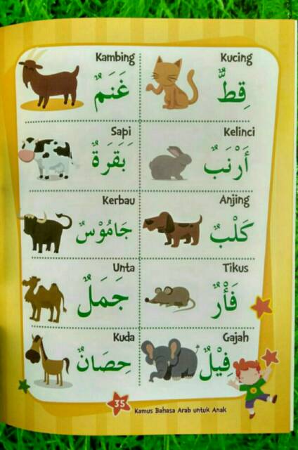 Kucing dalam bahasa arab