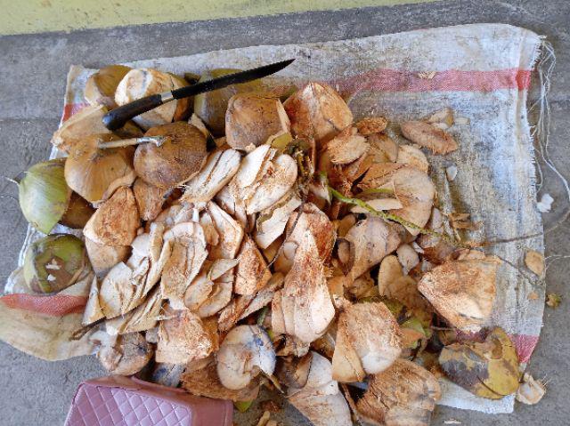 Manekin Body Mika (6 Pcs)