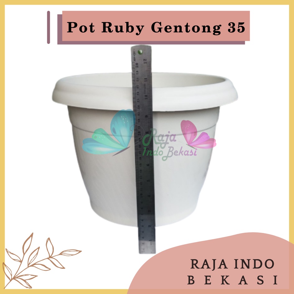 Pot Gentong VINCA 35 Putih Pot Tanaman Plastik Bunga Jumbo Besar Murah Uk Mirip Pot Tawon 35 Pot Tulip 45 20 30 Galaxy 25 40-Pot Bunga Putih 35 Strawberry | Pot Tanaman Plastik Besar