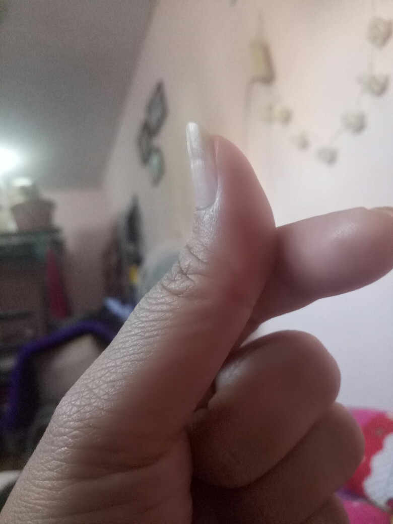 Lunch Box Paper Motif Ayam | Kemasan Kotak Makanan Kertas - Medium (50pc)