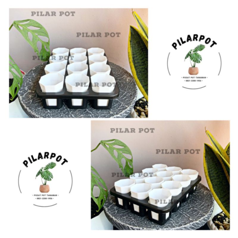 1 set Tray + POT BUNGA NKT PAGODA MINI 5CM PUTIH | tray semai bibit