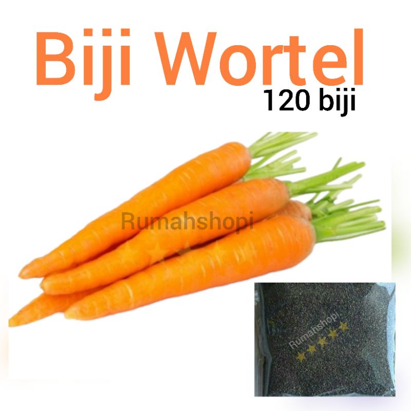 Benih wortel biji wortel bibit wortel sayuran unggul benih sayur benih buah