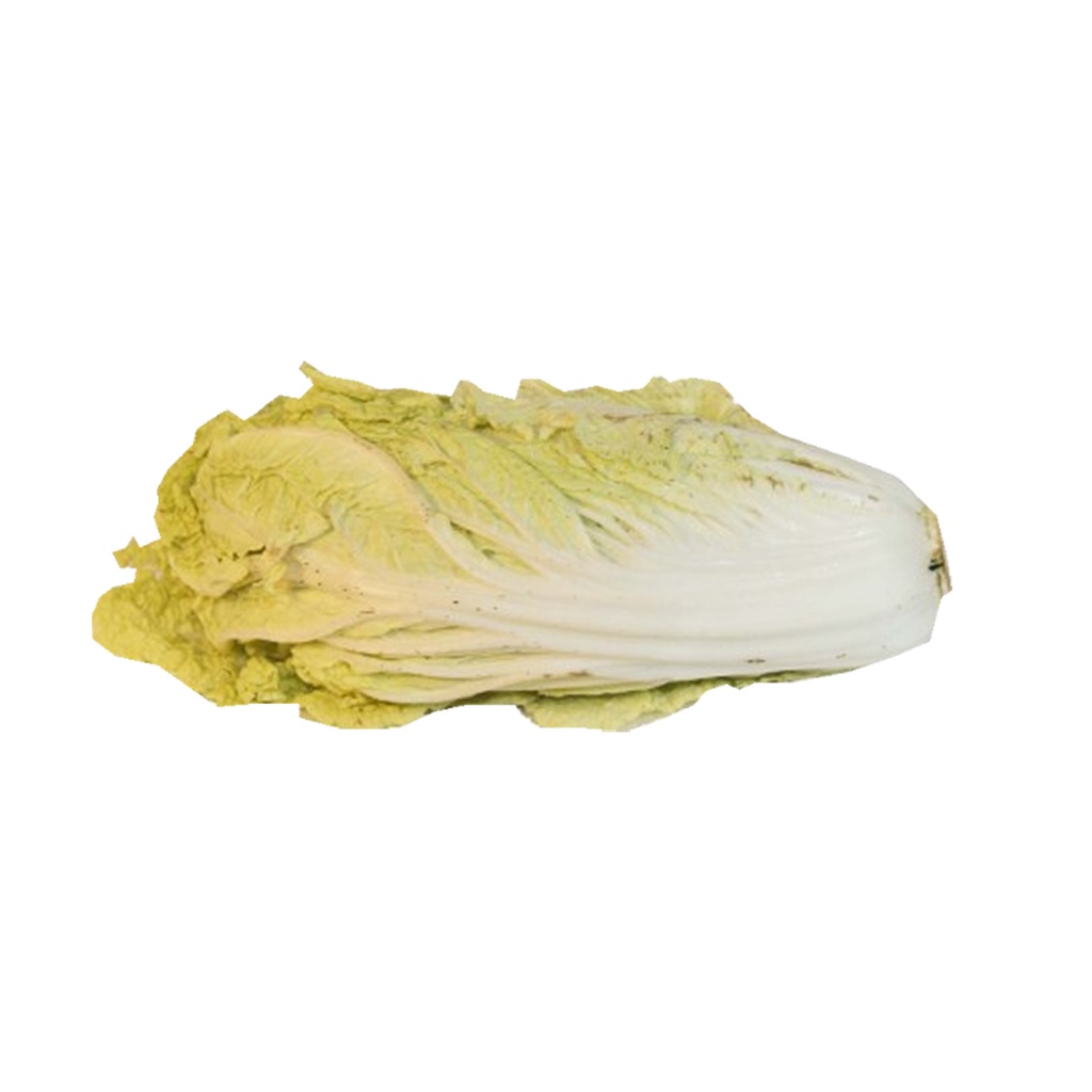 

SAWI PUTIH (PCS) +/- 1 Kg (8097)