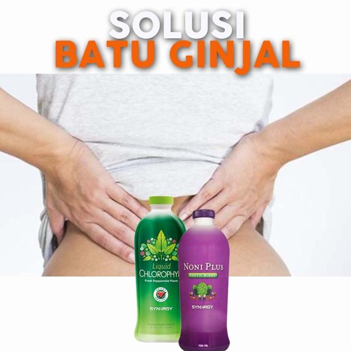 TERMURAH PAKET SEMBUHKAN Obat Herbal Ginjal (NoniPlus Chlorophyll Synergy) Asli