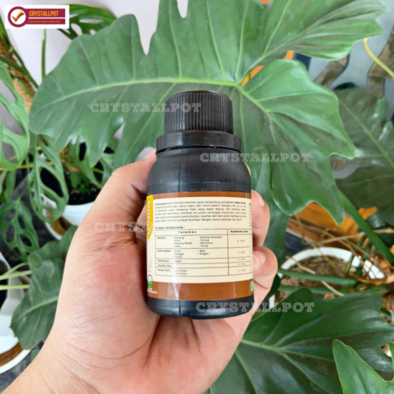 PUPUK CAIR ORGANIK AMINOSONG 100ML ASAM AMINO CAIR ORGANIK - AMINOSONG