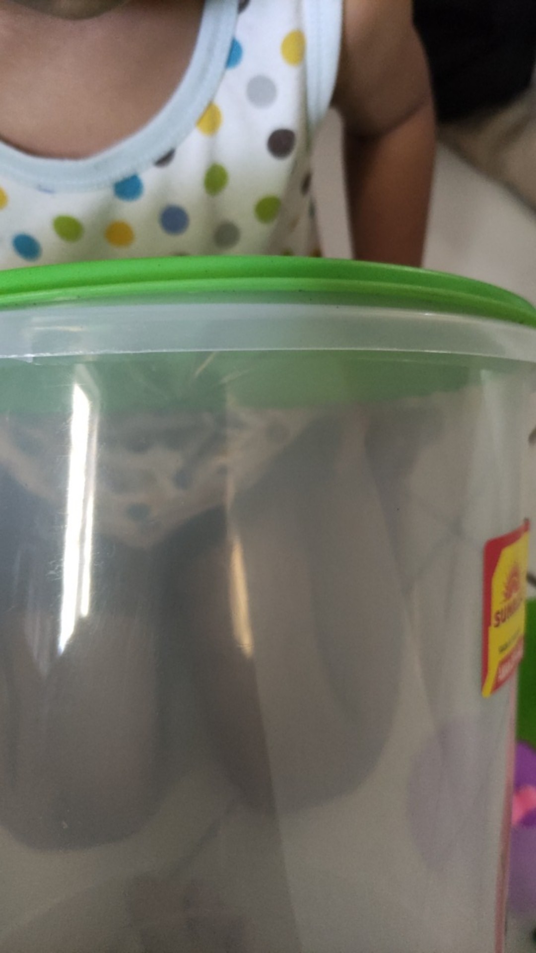 Toples Plastik 10 Liter