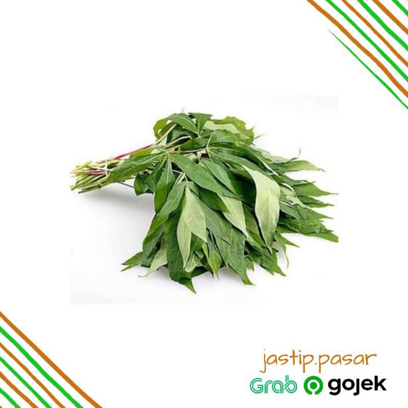 

Daun Singkong | Daun Ketela Pohon | Sayuran Segar Fresh (jastip.pasar)