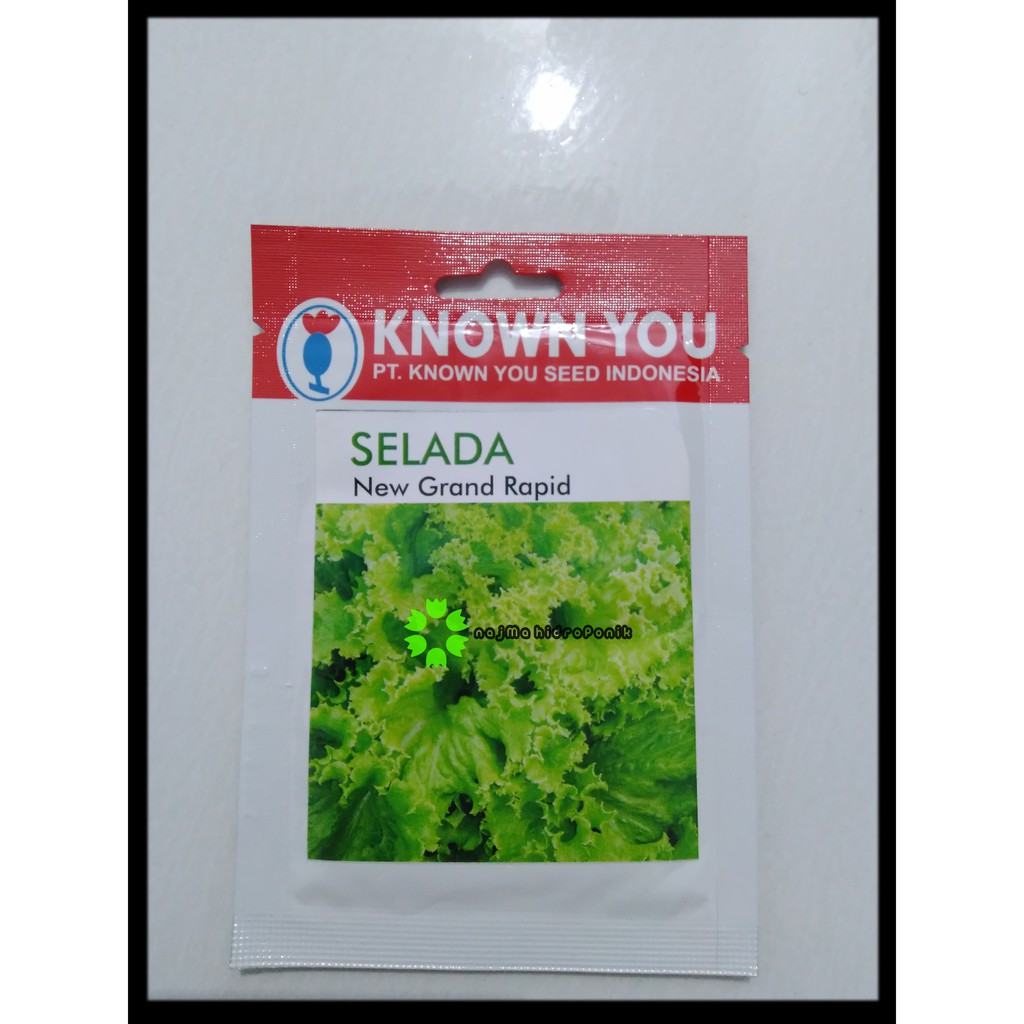 Benih/bibit Selada New Grand Rapid Pouch (Known You)