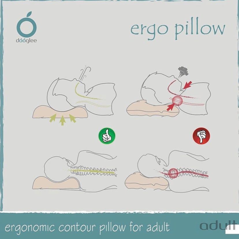 Dooglee Adult Ergo Pillow