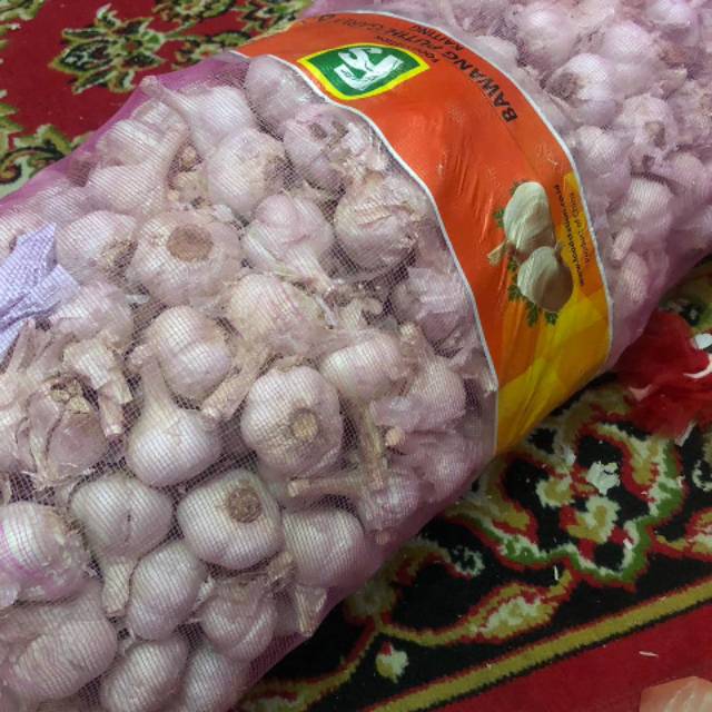 

Bawang putih kating