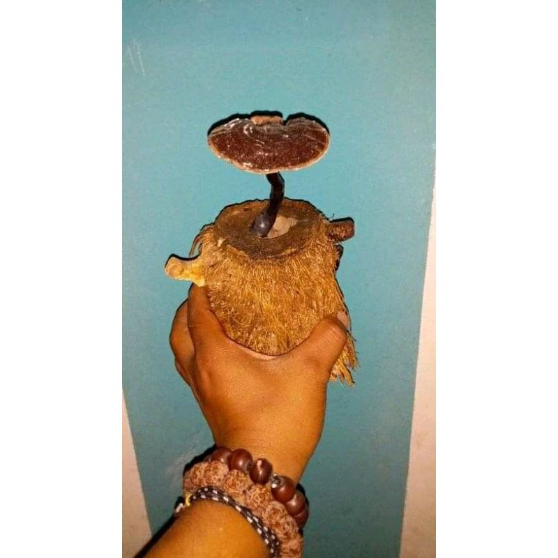 bambu unik