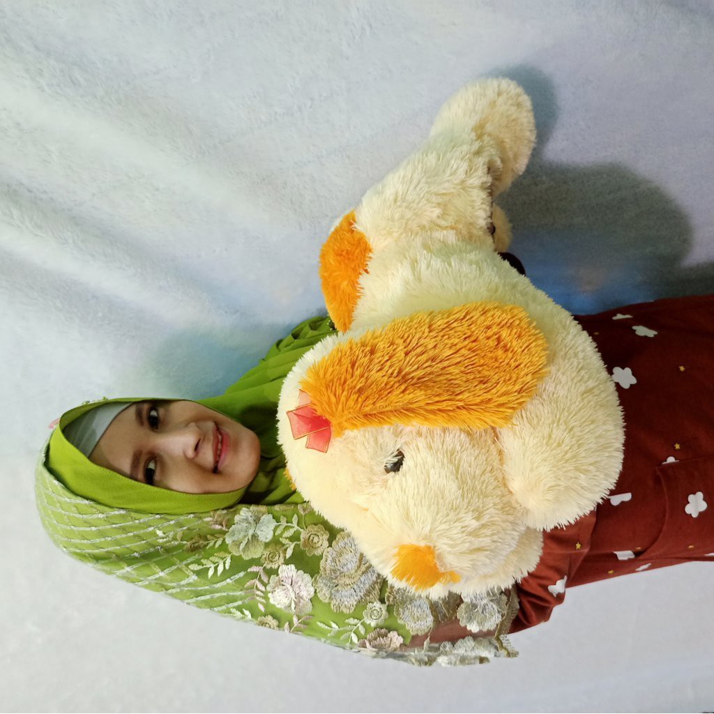 Boneka anjing GUFI goopy xl murah