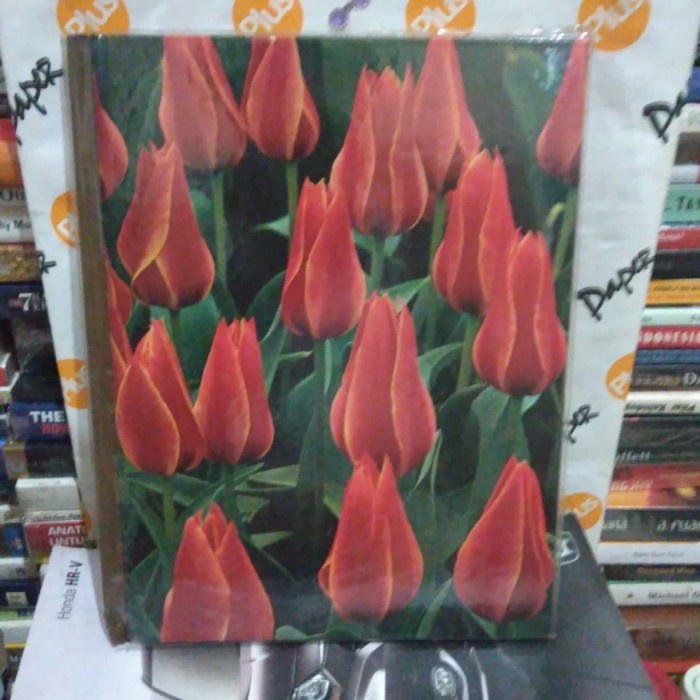 ORI THE TIME LIFE ENCYCLOPEDIA OF GARDENING BULBS