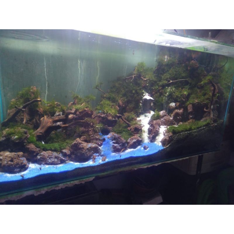 Aquascape aquarium fullset