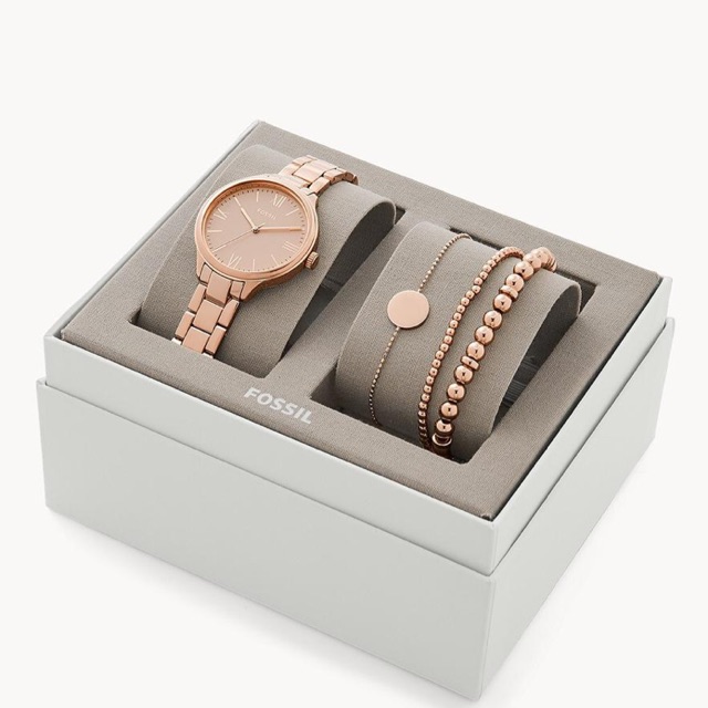 PREORDER jam tangan fossil watch BQ3543