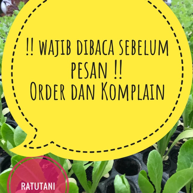 

[WAJIB DIBACA] order dan komplain