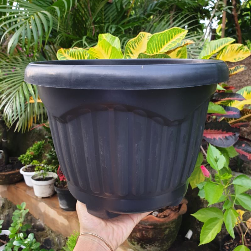 SHALLOM MIO 30 pot bunga bulat besar tebal murah