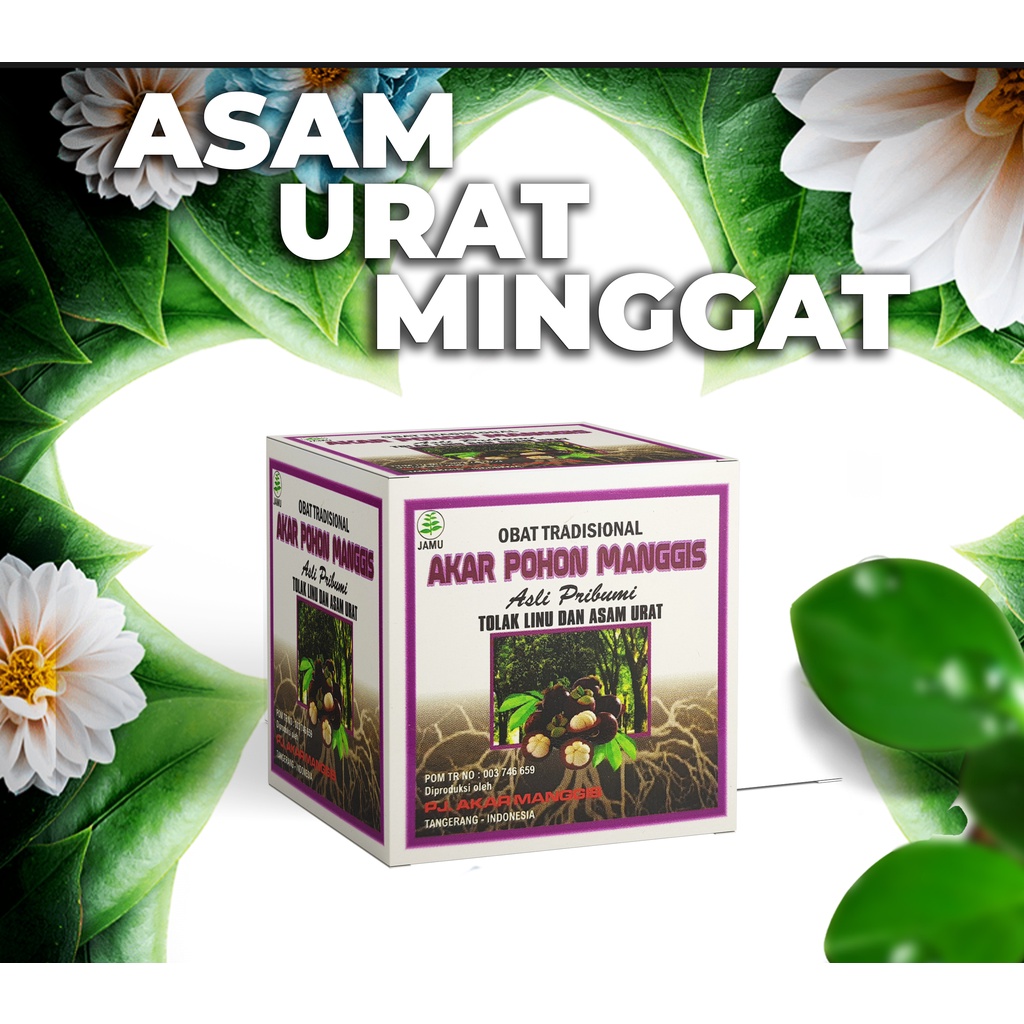 Akar Pohon Manggis  | Obat Asam Urat Paling Ampuh | Obat Tradisional Akar Pohon Manggis | Obat Akar 