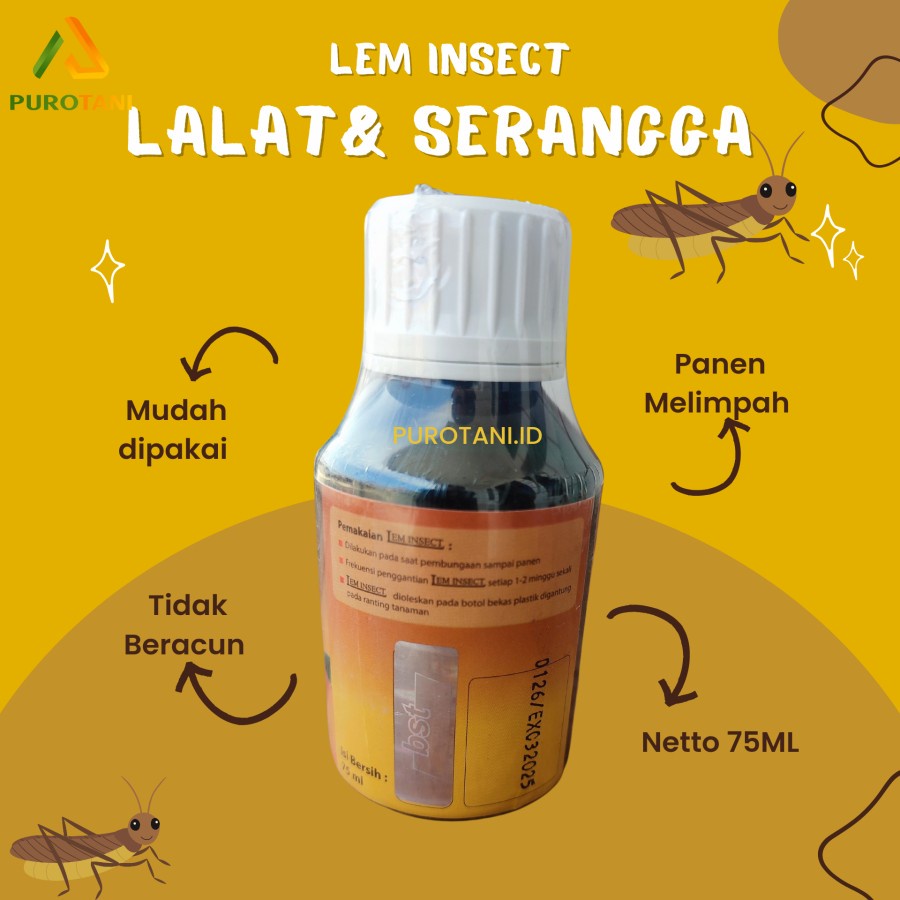 Lem Perangkap pembasmi hama tanaman lim Lem Insect Perekat Lalat Cabe