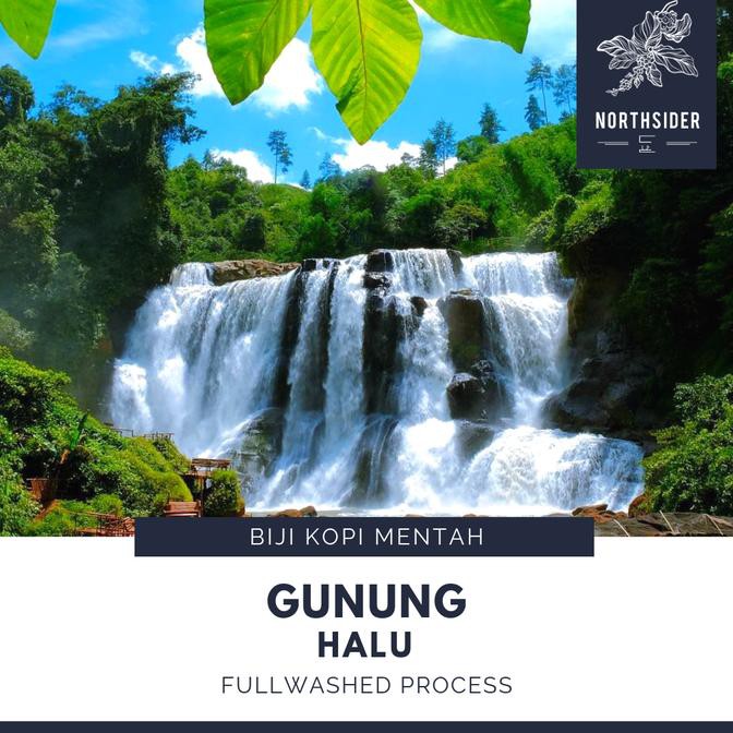 

BIJI KOPI ARABIKA GUNUNG HALU WASHED - BIJI KOPI MENTAH LIMITED EDITION