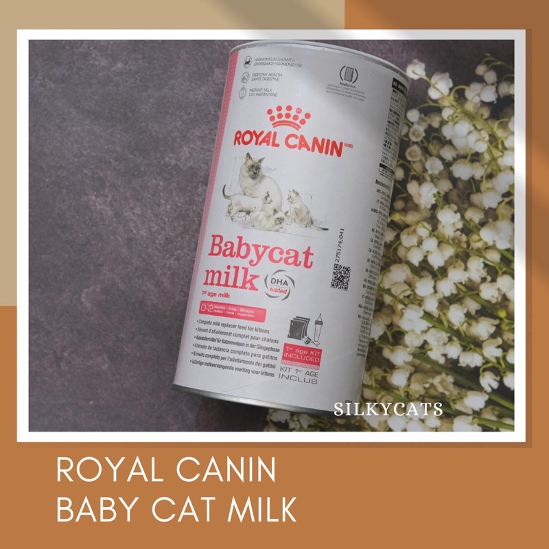 SUSU KUCING - Royal Canin mother and baby cat milk , include dot &amp; botol susu.