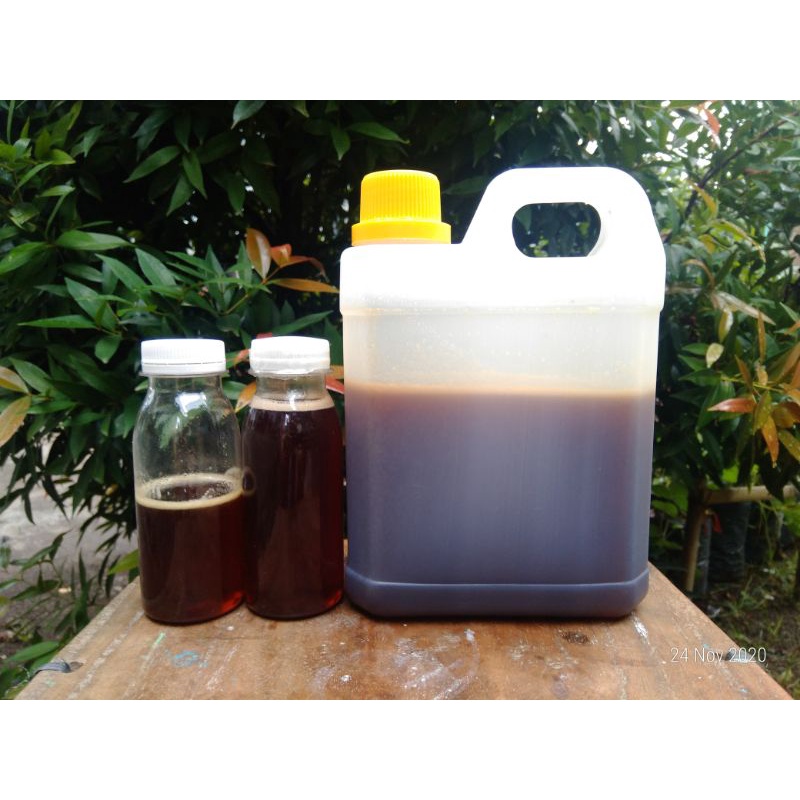 

madu hutan 2 kilogram