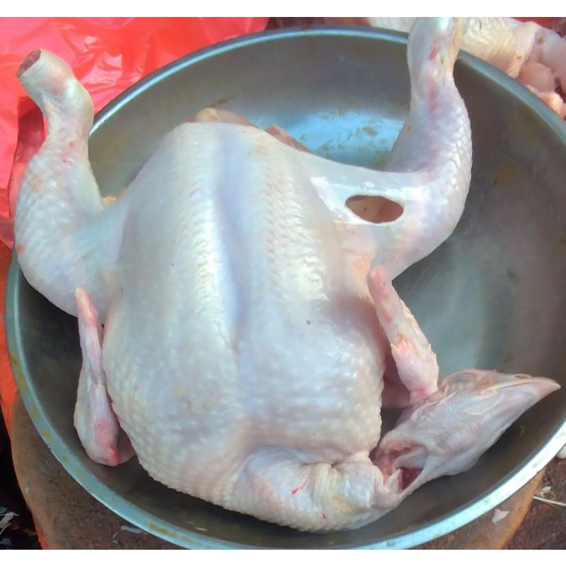 

AYAM POTONG SEGAR 1 ekor AYAM NEGERI /AYAM BROILER