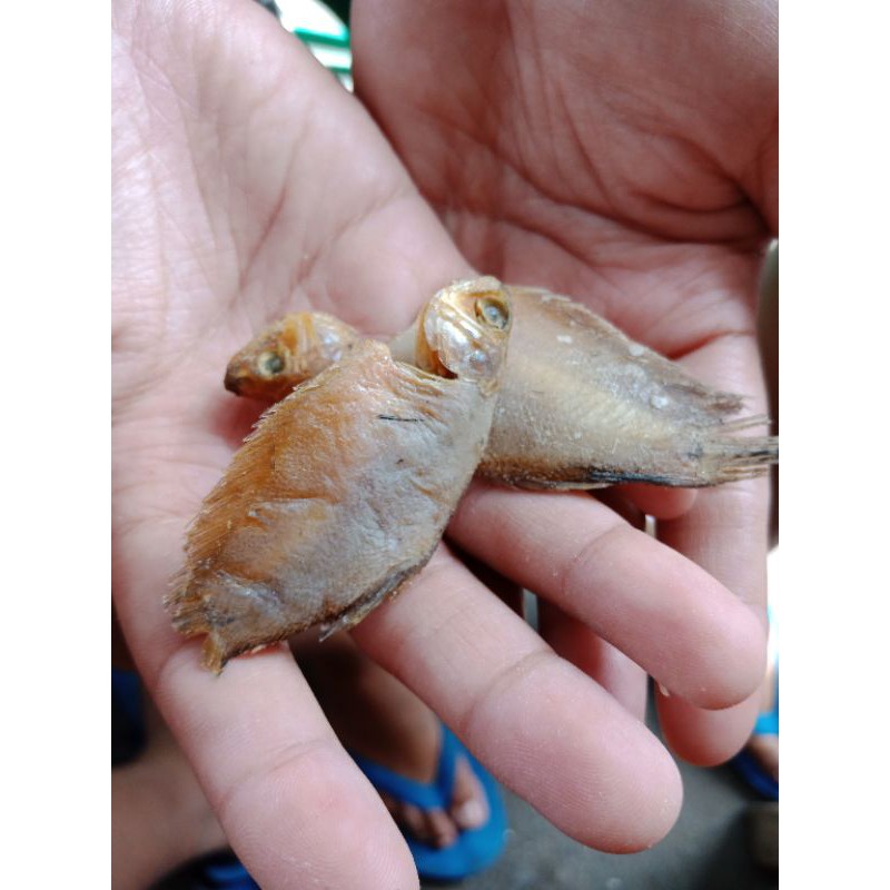 

siem atau sepat kecil ada kepala