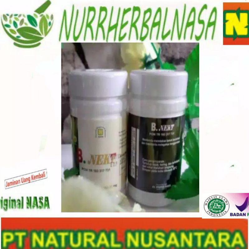 BENEKT obat  paru paru  herbal  obat sesak nafas original nasa