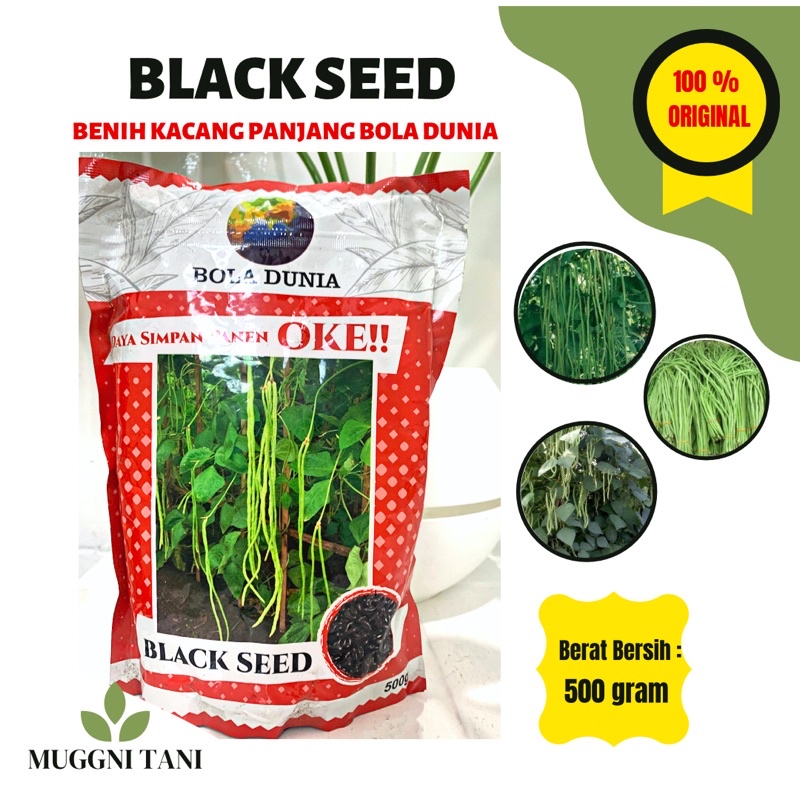 BENIH BIBIT KACANG PANJANG BOLA DUNIA BLACK SEED 500gr