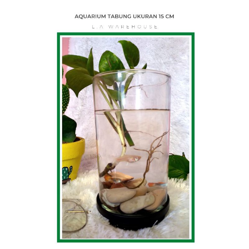 Paket aquarium mini ukuran 15cm ikan cupang / guppy / aquascape