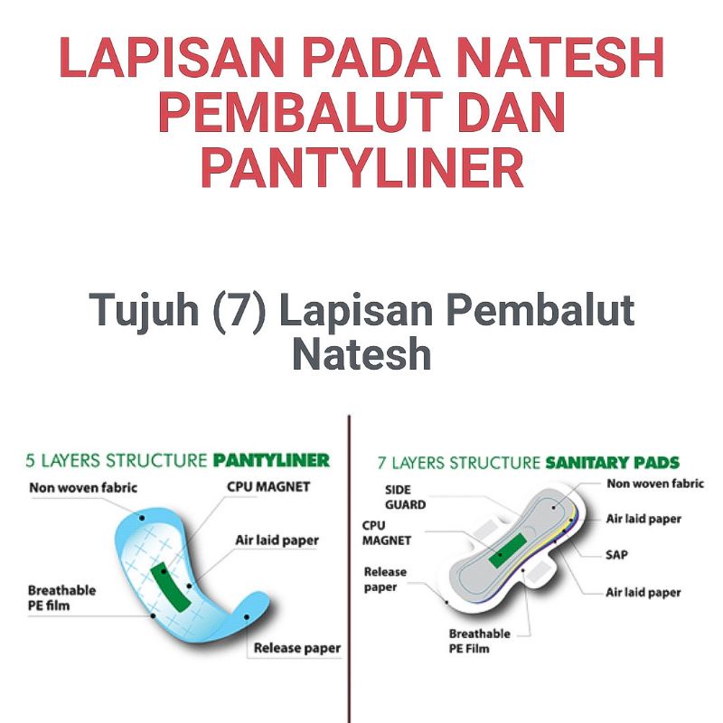Pembalut Natesh Day 3 pak 4