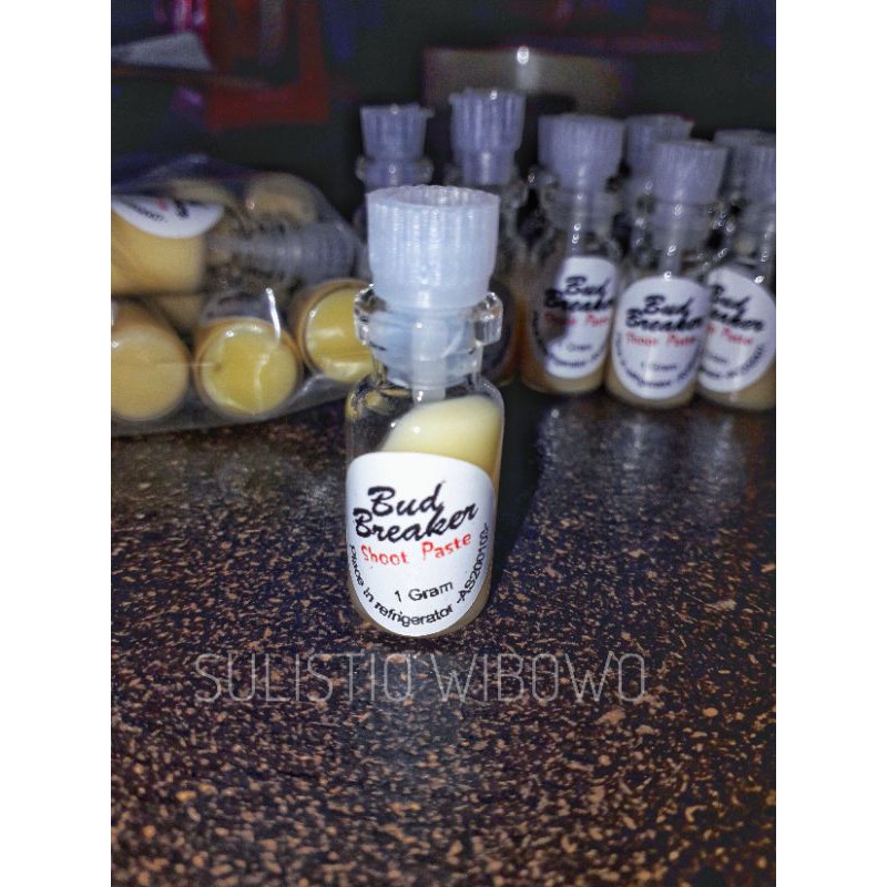 Bud Breaker Penumbuh Tunas anggrek