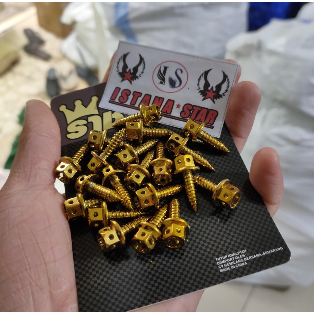 ( NEW FOTO ASLI ) BAUT PROBOLT BODY FLOWER YAMAHA HENG GOLD STAINLESS FULL BODY Lexi Aerox Fino Vixion Mio Xride Jupiter Xmax Nmax Byson R15 R3 Nouvo Freego Vega YZF WR155 Grand Soul ORIGINAL BAUT BADAN MOTOR EMAS HARGA 10