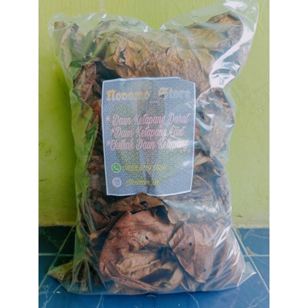 

Daun ketapang Qualitas 800g